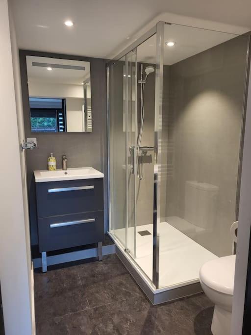 Le Bellevue Apartment Epagny Metz-Tessy Bagian luar foto